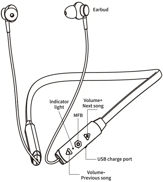 Product Introduction