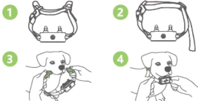 YCOEV-RC06-Remote-Dog-Training-Collar-FIG-52