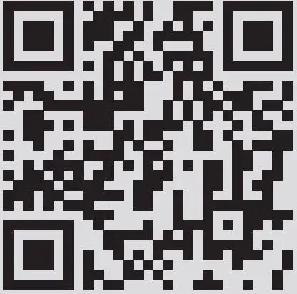 Wunderlick-35701-XX-Brake-Lever-FIG-8