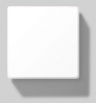 BEGA-12-149-Ceiling-and-Wall-Luminaire-for-Indoor-PRODUCT