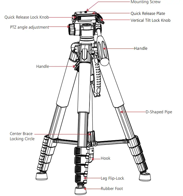 ZIKZOK B0C391MZZS 75 Inch Camera Tripod - Fig
