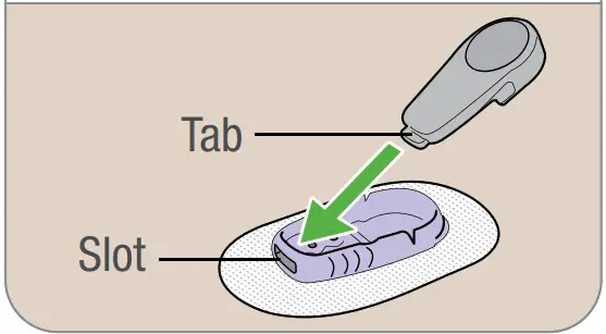 Dexcom G6 CGM Glucose Monitoring System - Fig 33