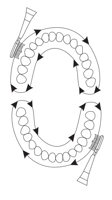 media-tech MT6510 Sonic Toothbrush - Brasu2