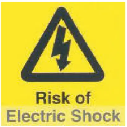 Electric Shock Icon