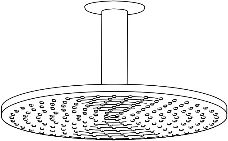 hansgrohe 27471000 Raindance Shower Head and Arm - Raindance