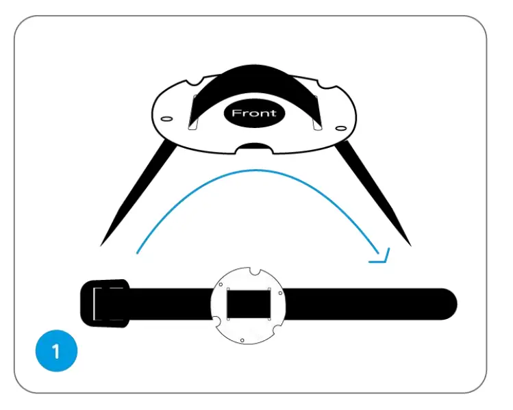 Attach the Camera to a Tree