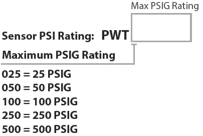 SENVA-PW30-Wet-Wet-Pressure-Transmitter-FIG-1