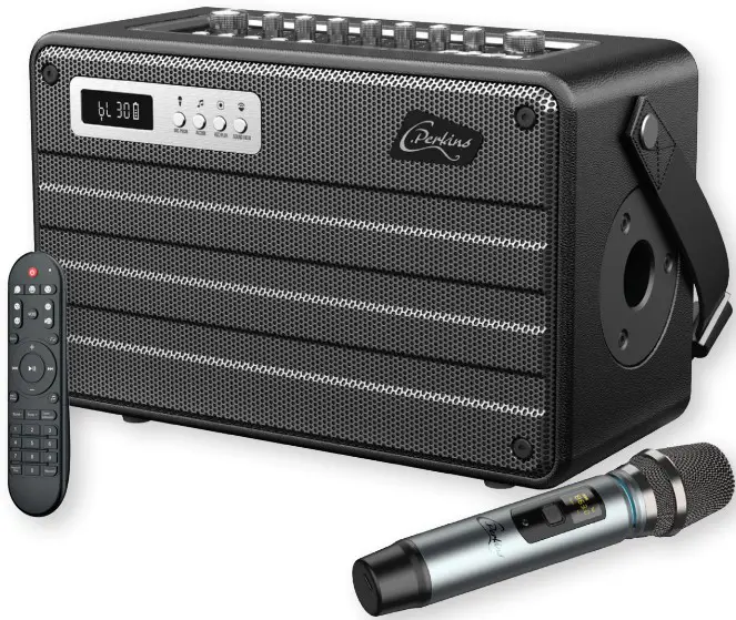 Perkins ROADY-FL Portable Combo