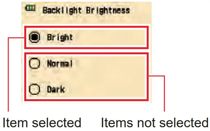 Screen For Selecting LCD
Backlight Brightness