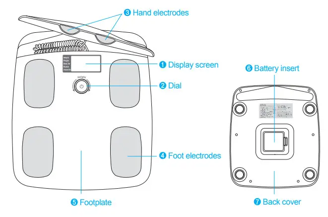 InBody H20N Smart Full Body Composition Analyzer Scale - Components
