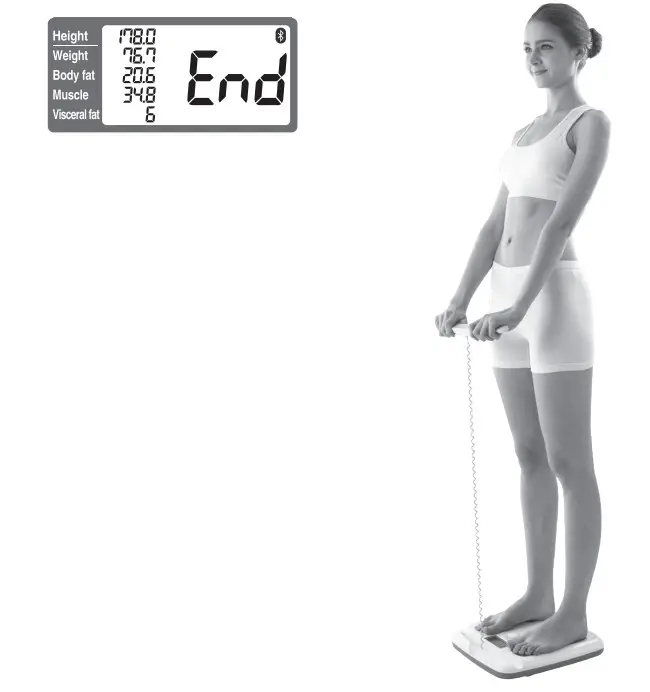 InBody H20N Smart Full Body Composition Analyzer Scale - footplate