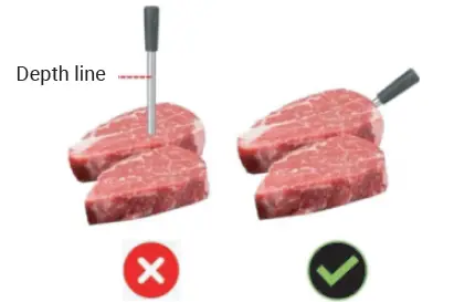 TESLA BBQ100 Wireless Meat Thermometer 1