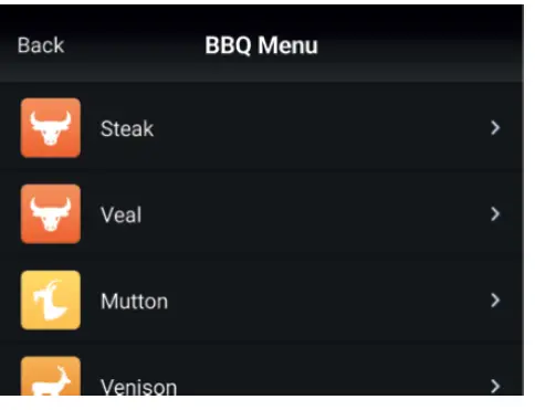 TESLA BBQ100 Wireless Meat Thermometer 13