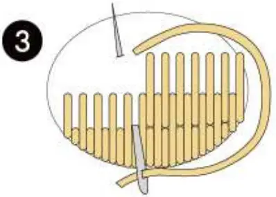 Long And Short Stitch