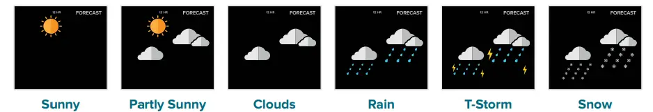 Available Forecast Icons on Standalone Station