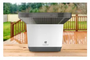 Would you like backyard rain data as well?