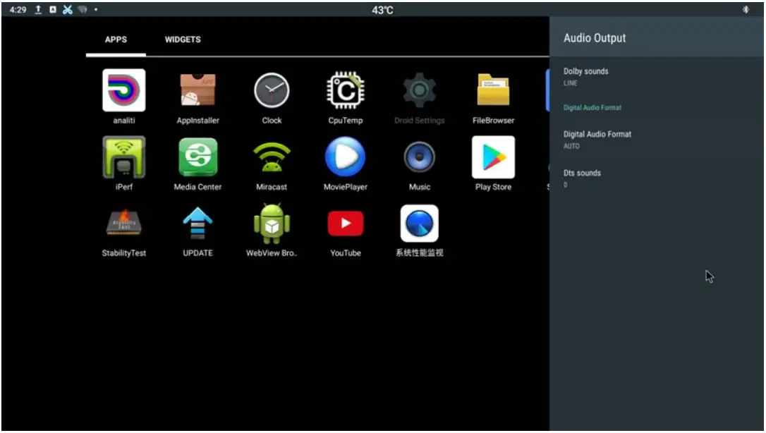 DELTA DS310 NovoDS Digital Signage Solution - Audio Output