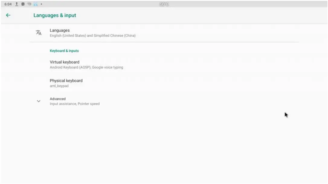 DELTA DS310 NovoDS Digital Signage Solution - Language & input