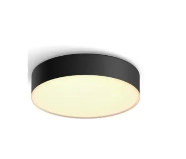 Philips 4115830p6 Hue Led Ceiling Light Instructions