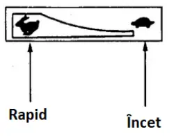RURIS MP 200XR Motor Pump Test - slightly