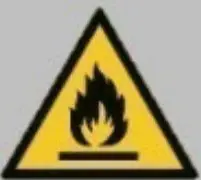 Fire Icon