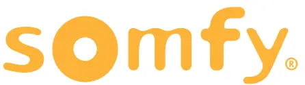 SAMSON Logo 1
