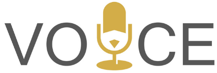 Voice Logo