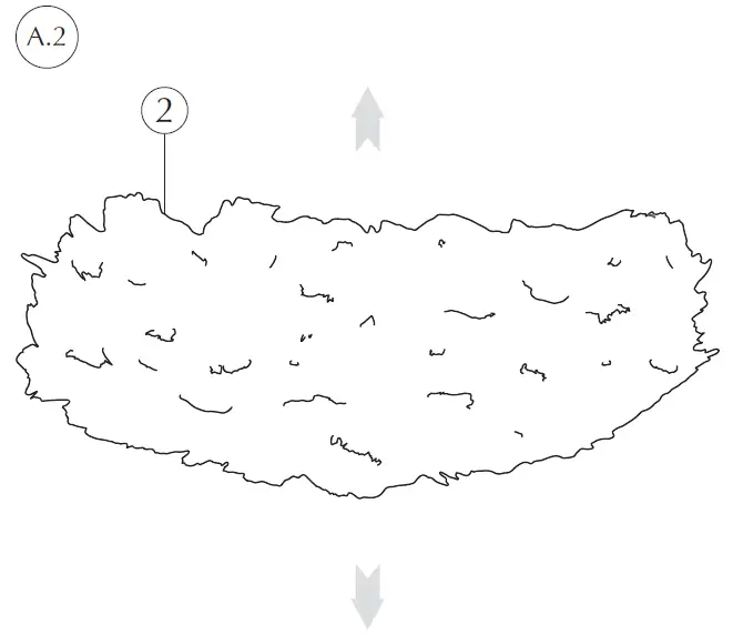 UMAGE-EOS-EVIA-Lampshade-08