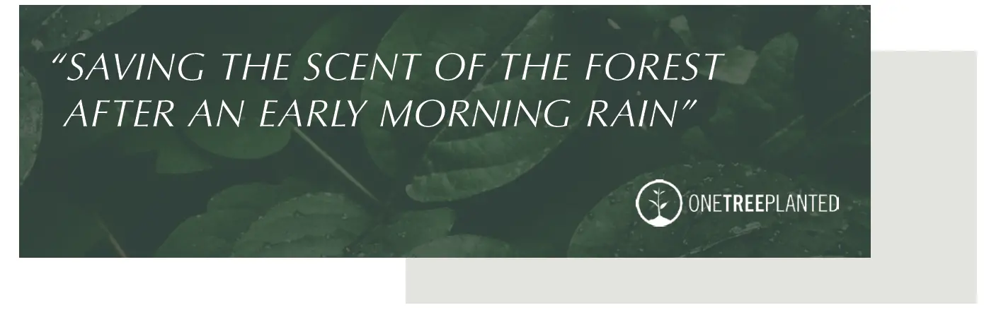 UMAGE-EOS-EVIA-Lampshade-17