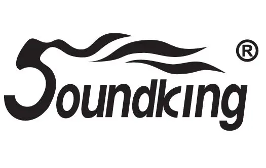 Soundking logo