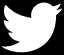 Twitter icon 6