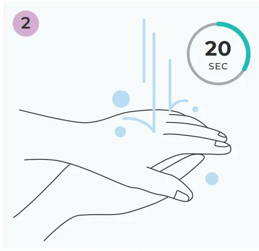 Performing Your Test