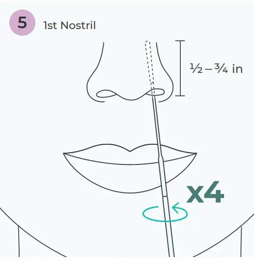 Performing Your Test