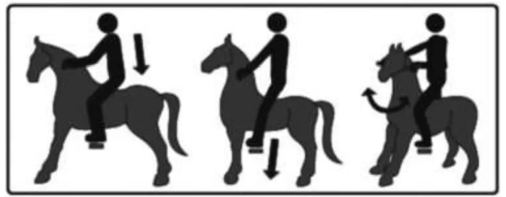 ROLLZONE MP2003-M My Pony Ride On Toy - Fig3