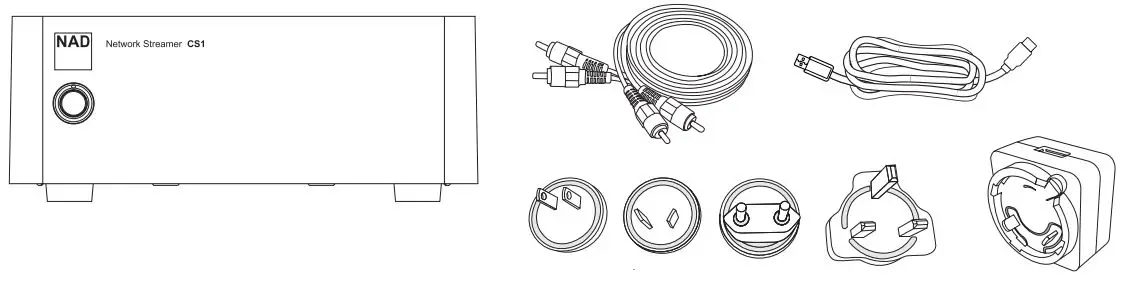 NAD-CS1-Endpoint-Network-Streamer-fig 1