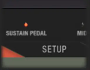 Sustain and Expression