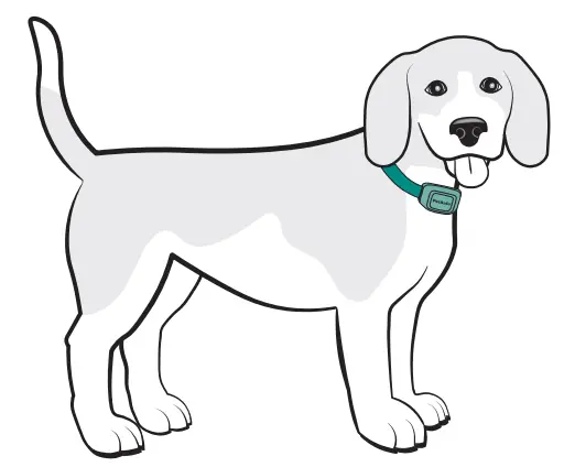 PetSafe Audible Bark Collar - Charge 1