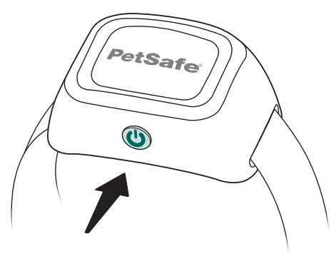 PetSafe Audible Bark Collar - Turn the bark collar on