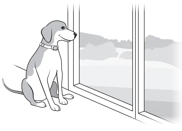 PetSafe Audible Bark Collar - Use the bark collar