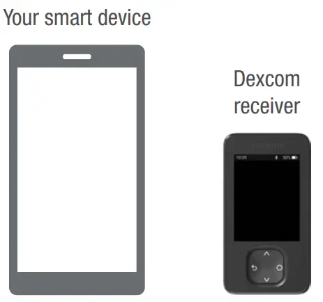 Dexcom G6 Continuous Glucose Monitoring System - Display Device