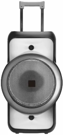 RUIMA ELECTRONICS TK-502 Portable Bluetooth Speaker