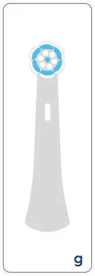 Accessories Features