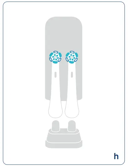 Accessories Features