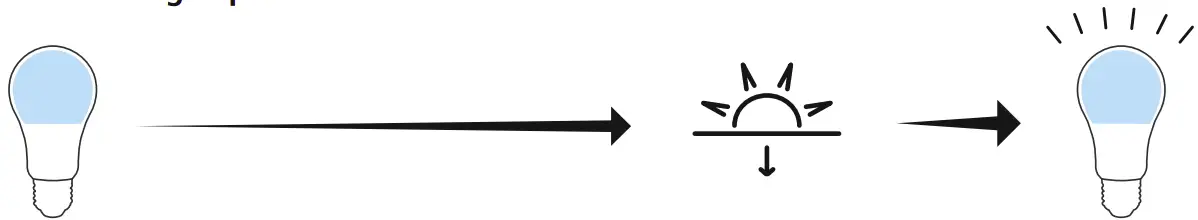 Standard usage option