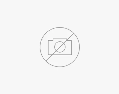 Fisher and Paykel RD3684A Door Panel for Integrated Refrigerator