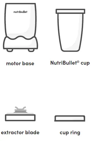 NutriBullet-PRO-900-Watt-Blender-FIG-1