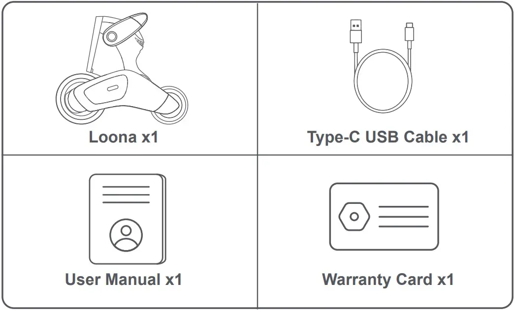 Loona KY004LN01 Smart Toy Robot - box