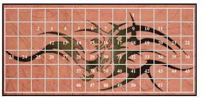 Avance Beauty IPL 350 LS Ultra and Driver - frequency