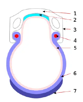 LEITNER Step-Thru Series Ultimate Electric Bicycle-fig-43