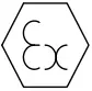 e2S Icon